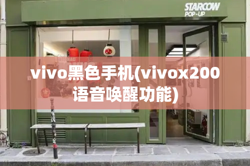 vivo黑色手机(vivox200语音唤醒功能)