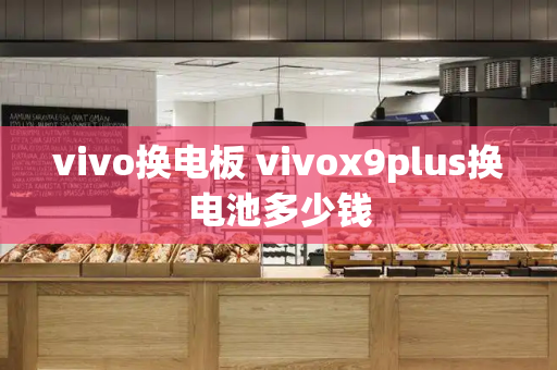 vivo换电板 vivox9plus换电池多少钱