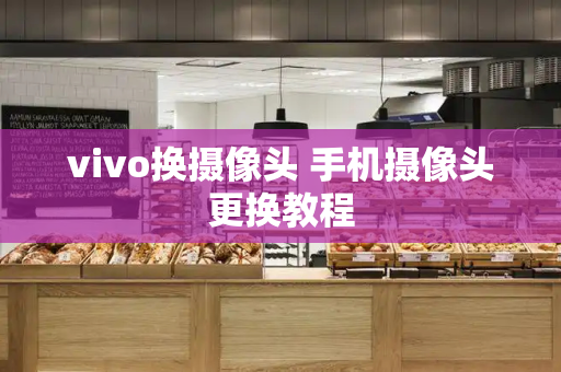 vivo换摄像头 手机摄像头更换教程