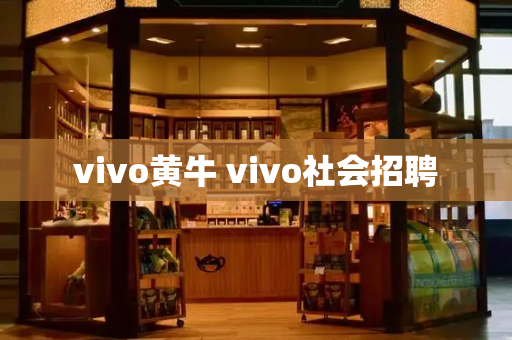 vivo黄牛 vivo社会招聘