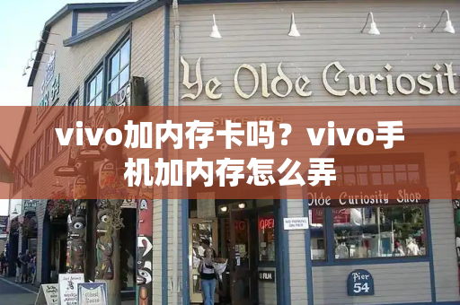 vivo加内存卡吗？vivo手机加内存怎么弄-第1张图片-星选测评