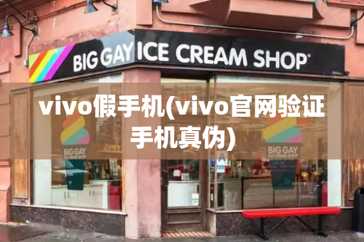 vivo假手机(vivo官网验证手机真伪)