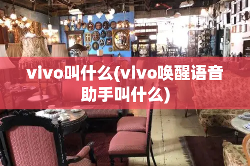 vivo叫什么(vivo唤醒语音助手叫什么)-第1张图片-星选测评