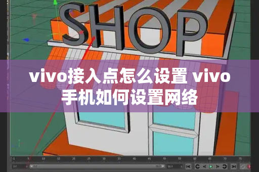 vivo接入点怎么设置 vivo手机如何设置网络-第1张图片-星选测评