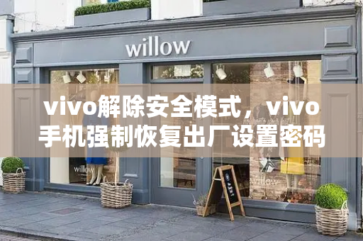 vivo解除安全模式，vivo手机强制恢复出厂设置密码-第1张图片-星选测评