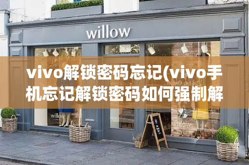 vivo解锁密码忘记(vivo手机忘记解锁密码如何强制解锁)-第1张图片-星选测评