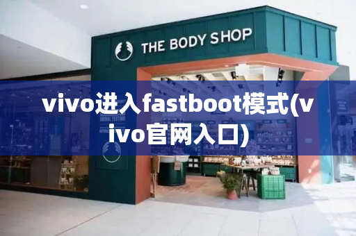 vivo进入fastboot模式(vivo官网入口)