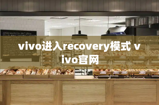 vivo进入recovery模式 vivo官网-第1张图片-星选测评