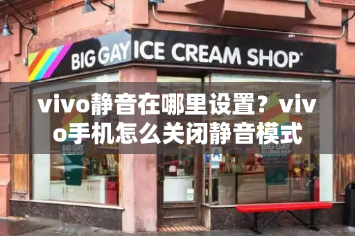 vivo静音在哪里设置？vivo手机怎么关闭静音模式