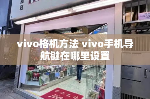 vivo格机方法 vivo手机导航键在哪里设置-第1张图片-星选测评