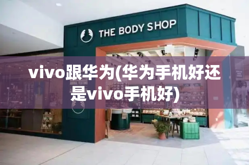 vivo跟华为(华为手机好还是vivo手机好)-第1张图片-星选测评