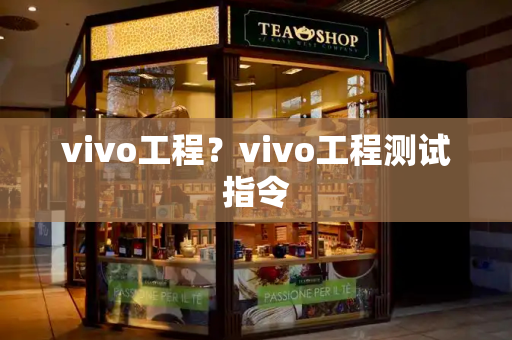 vivo工程？vivo工程测试指令