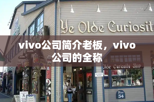 vivo公司简介老板，vivo公司的全称