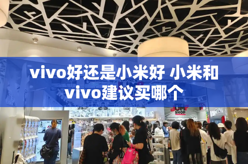 vivo好还是小米好 小米和vivo建议买哪个