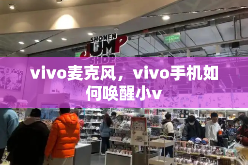 vivo麦克风，vivo手机如何唤醒小v-第1张图片-星选测评