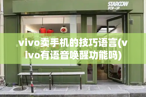 vivo卖手机的技巧语言(vivo有语音唤醒功能吗)