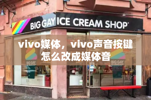 vivo媒体，vivo声音按键怎么改成媒体音