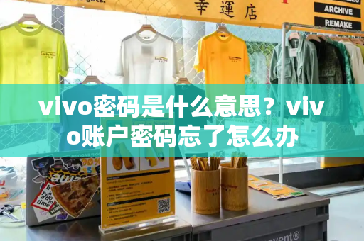 vivo密码是什么意思？vivo账户密码忘了怎么办