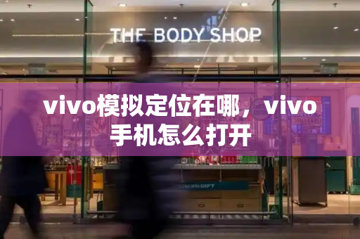 vivo模拟定位在哪，vivo手机怎么打开