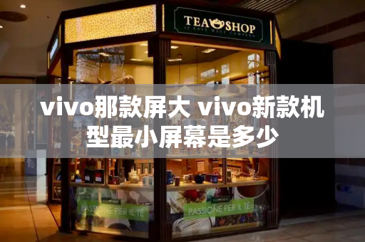 vivo那款屏大 vivo新款机型最小屏幕是多少-第1张图片-星选测评