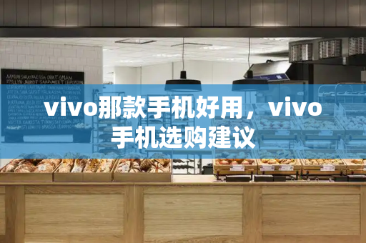 vivo那款手机好用，vivo手机选购建议-第1张图片-星选测评