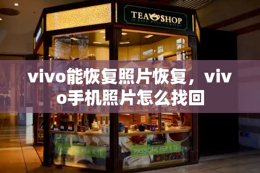 vivo能恢复照片恢复，vivo手机照片怎么找回-第1张图片-星选测评