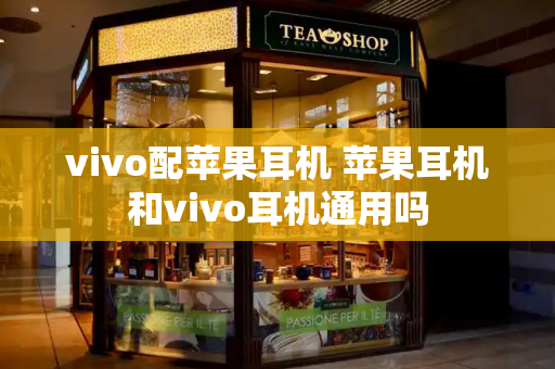 vivo配苹果耳机 苹果耳机和vivo耳机通用吗-第1张图片-星选测评