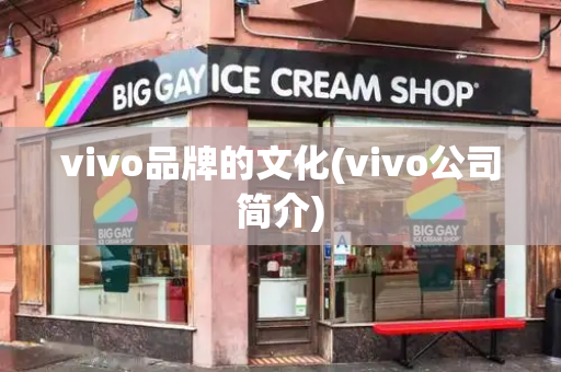 vivo品牌的文化(vivo公司简介)