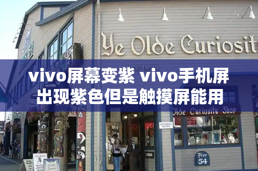 vivo屏幕变紫 vivo手机屏出现紫色但是触摸屏能用-第1张图片-星选测评