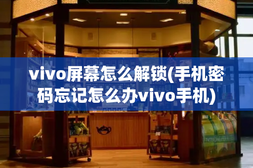 vivo屏幕怎么解锁(手机密码忘记怎么办vivo手机)-第1张图片-星选测评