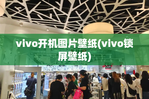 vivo开机图片壁纸(vivo锁屏壁纸)-第1张图片-星选测评