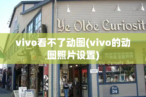 vivo看不了动图(vivo的动图照片设置)