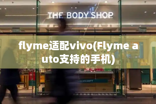 flyme适配vivo(Flyme auto支持的手机)