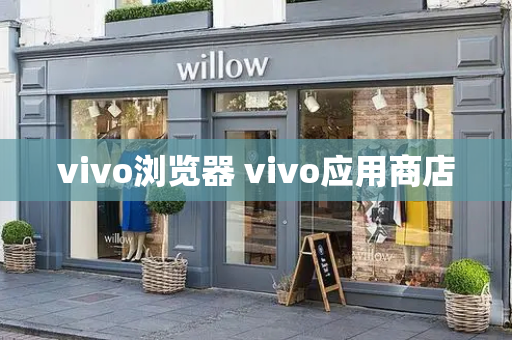 vivo浏览器 vivo应用商店-第1张图片-星选测评