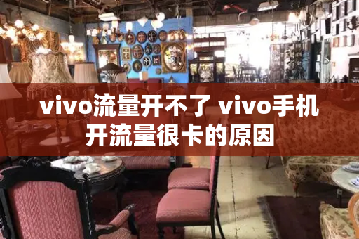 vivo流量开不了 vivo手机开流量很卡的原因