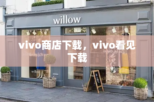 vivo商店下载，vivo看见下载