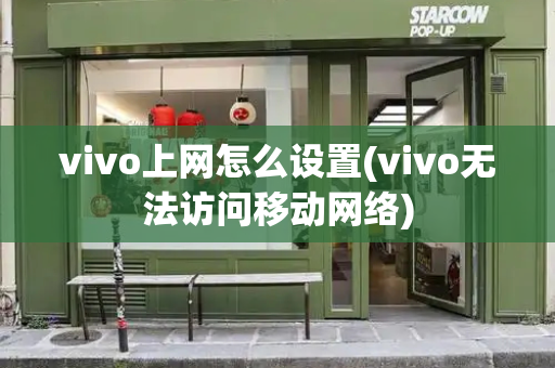 vivo上网怎么设置(vivo无法访问移动网络)-第1张图片-星选测评