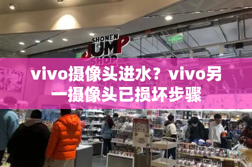 vivo摄像头进水？vivo另一摄像头已损坏步骤