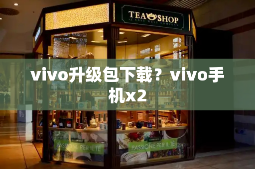 vivo升级包下载？vivo手机x2-第1张图片-星选测评