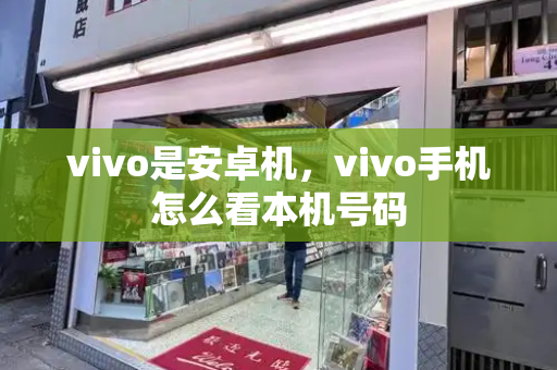 vivo是安卓机，vivo手机怎么看本机号码-第1张图片-星选测评