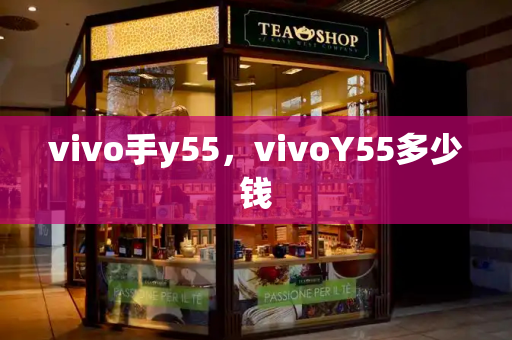 vivo手y55，vivoY55多少钱