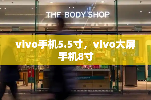 vivo手机5.5寸，vivo大屏手机8寸-第1张图片-星选测评