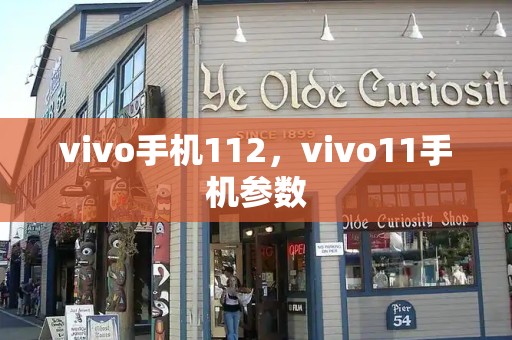 vivo手机112，vivo11手机参数