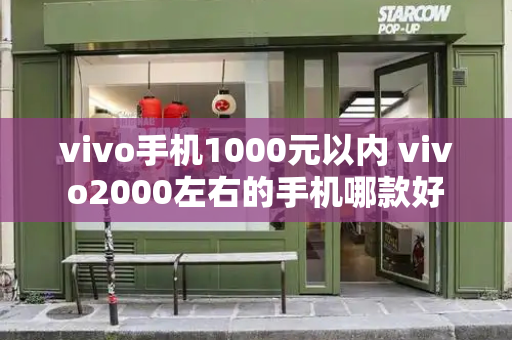 vivo手机1000元以内 vivo2000左右的手机哪款好-第1张图片-星选测评