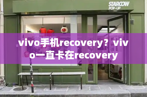 vivo手机recovery？vivo一直卡在recovery-第1张图片-星选测评