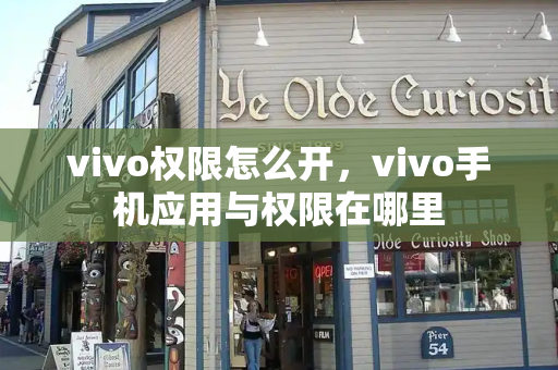 vivo权限怎么开，vivo手机应用与权限在哪里-第1张图片-星选测评