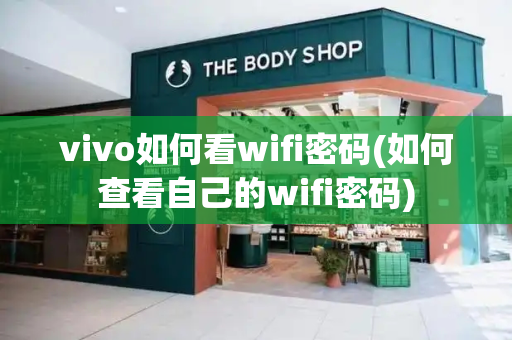 vivo如何看wifi密码(如何查看自己的wifi密码)