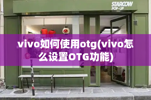 vivo如何使用otg(vivo怎么设置OTG功能)