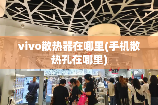 vivo散热器在哪里(手机散热孔在哪里)-第1张图片-星选测评