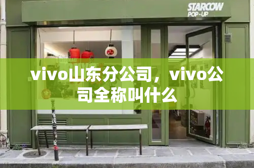 vivo山东分公司，vivo公司全称叫什么